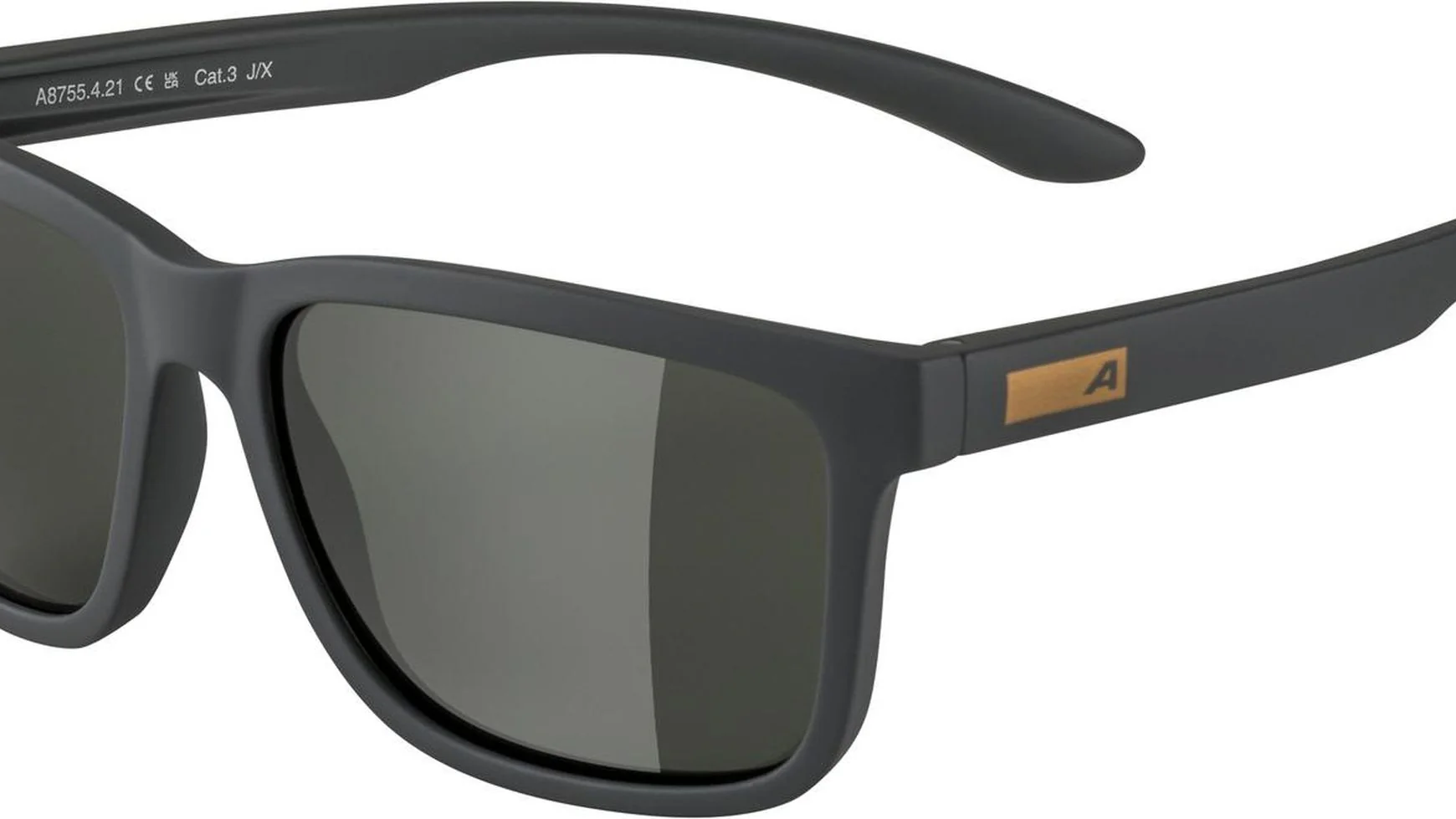 Alpina Burst Fahrradbrille - Image 2