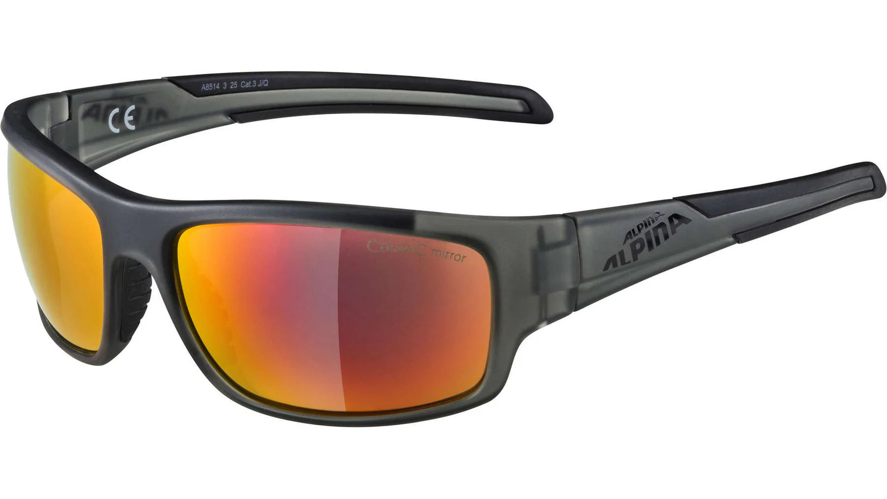 Alpina Testido Fahrradbrille - Image 4
