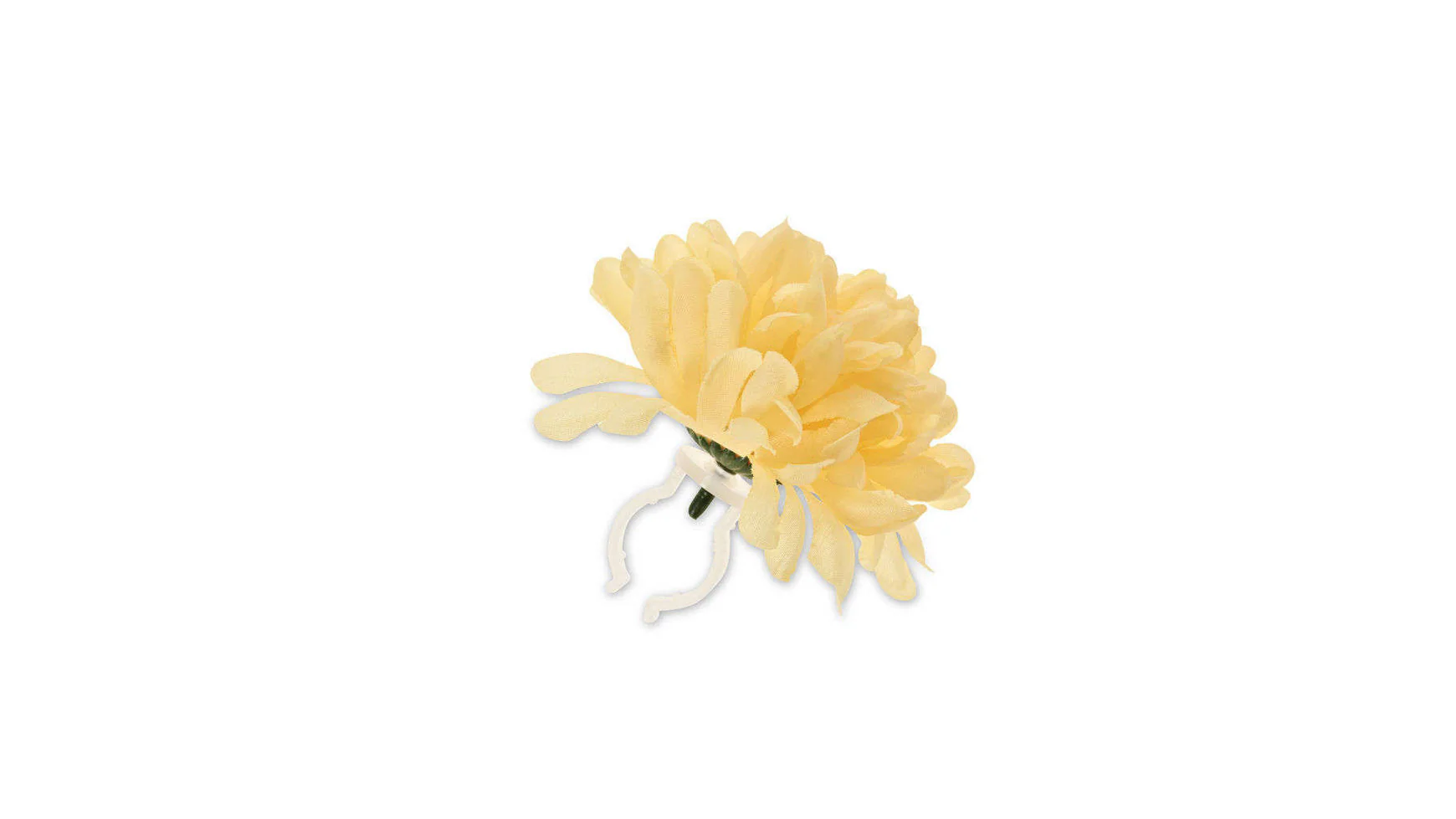 Basil Lenkerblume Flower Dahlia
