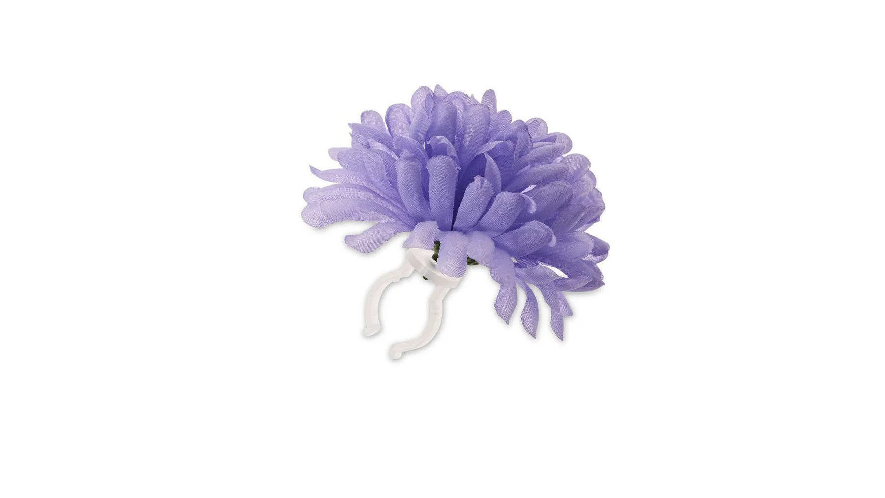 Basil Lenkerblume Flower Dahlia - Image 2