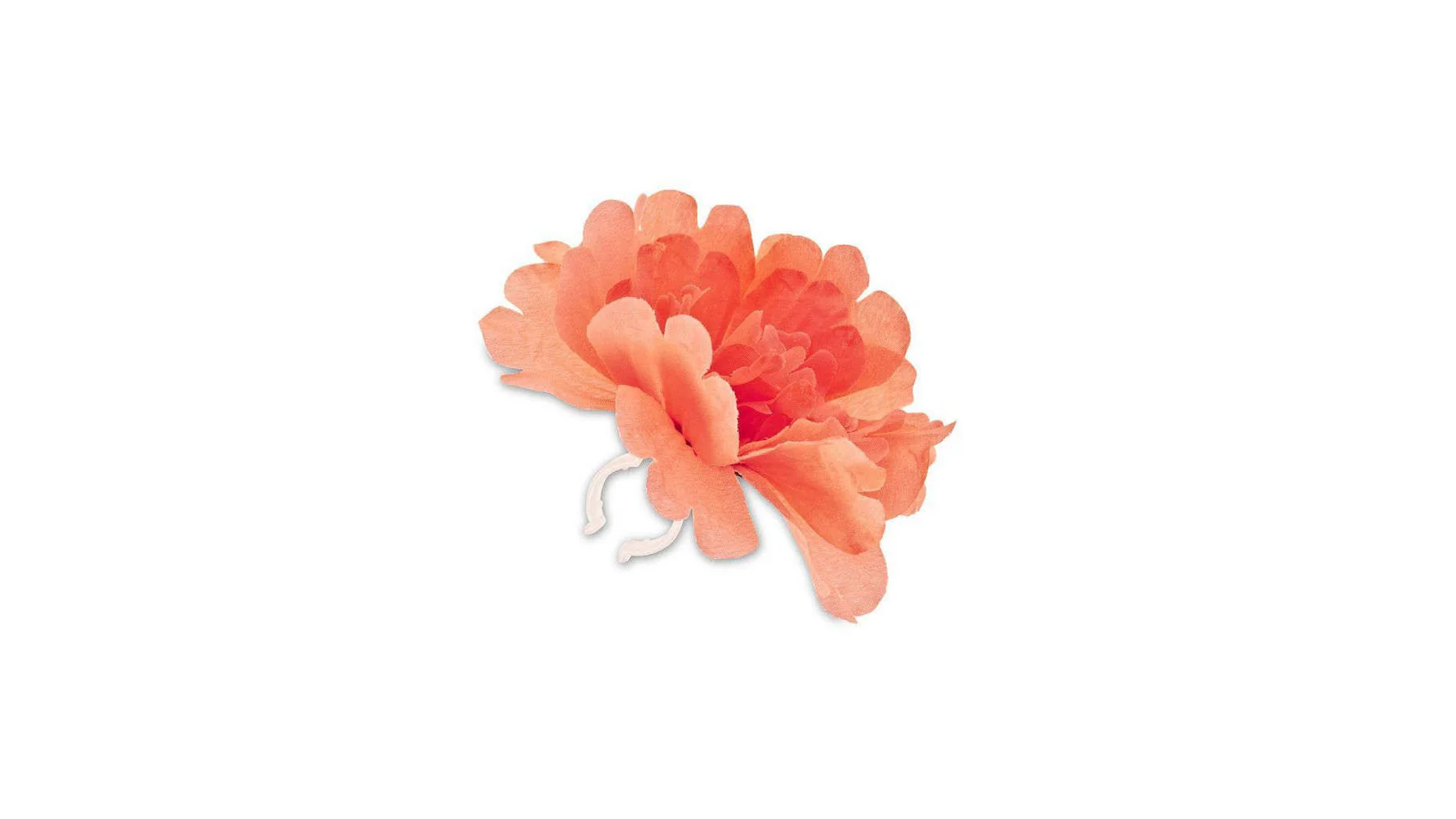 Basil Lenkerblume Flower Peony