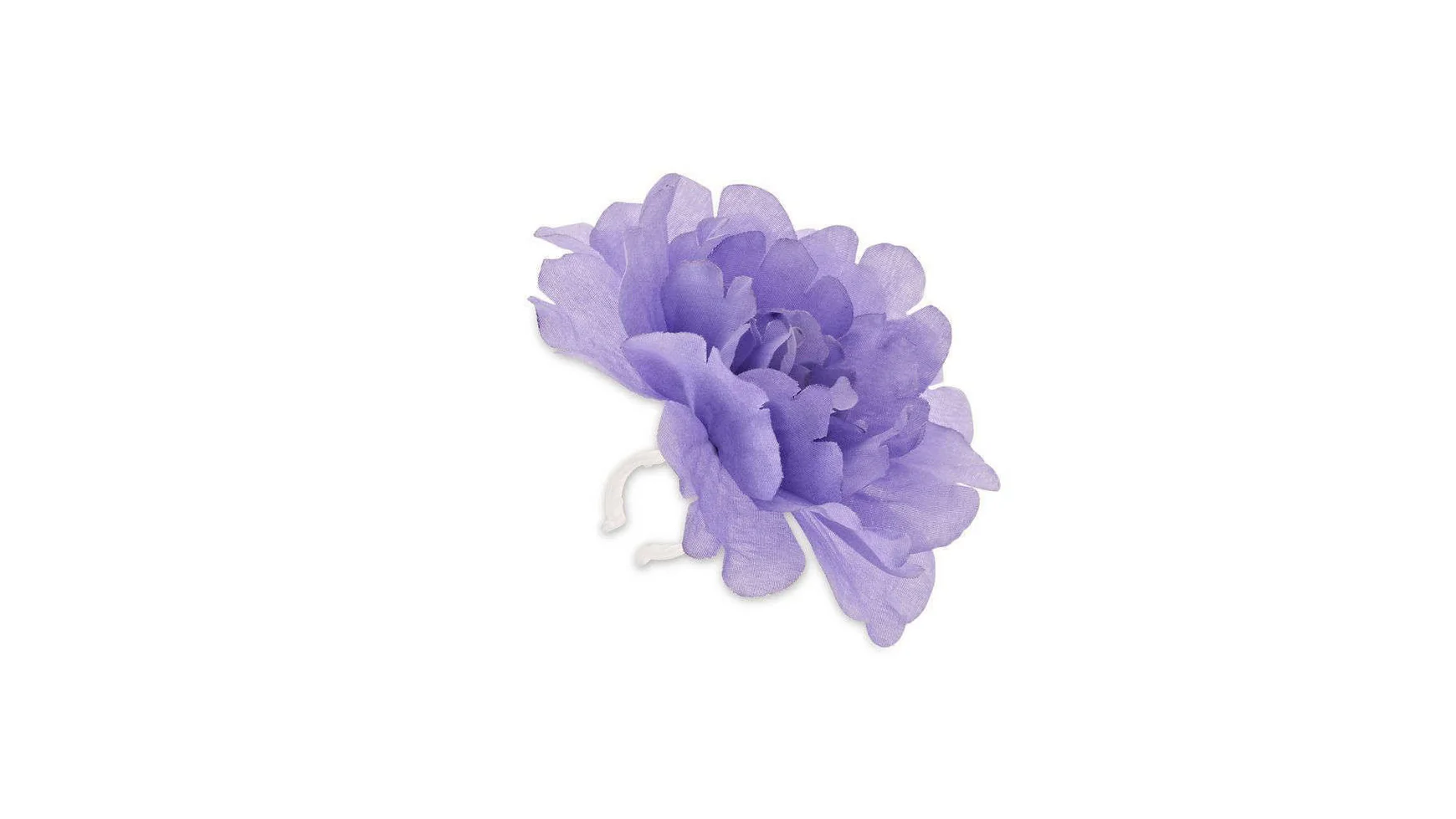 Basil Lenkerblume Flower Peony - Image 3