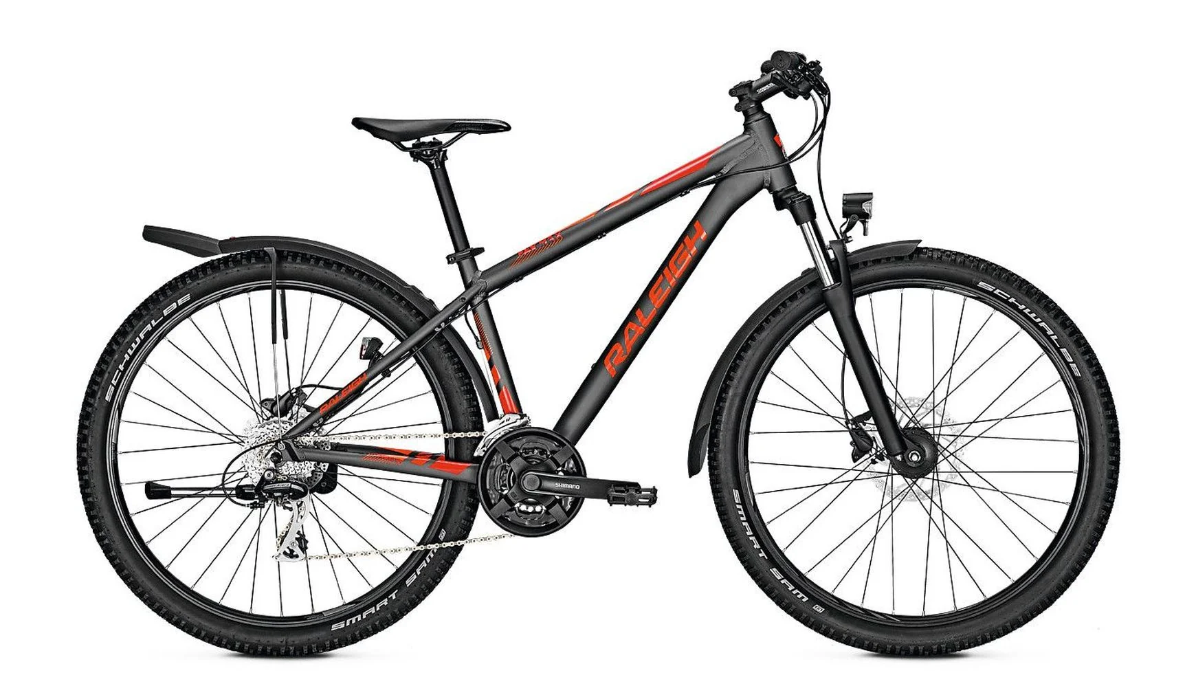Raleigh Daymax Lady