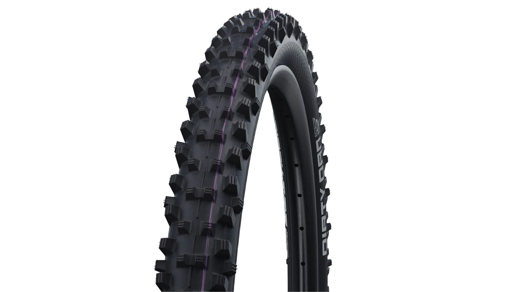 Schwalbe Dirty Dan Evo SD 29