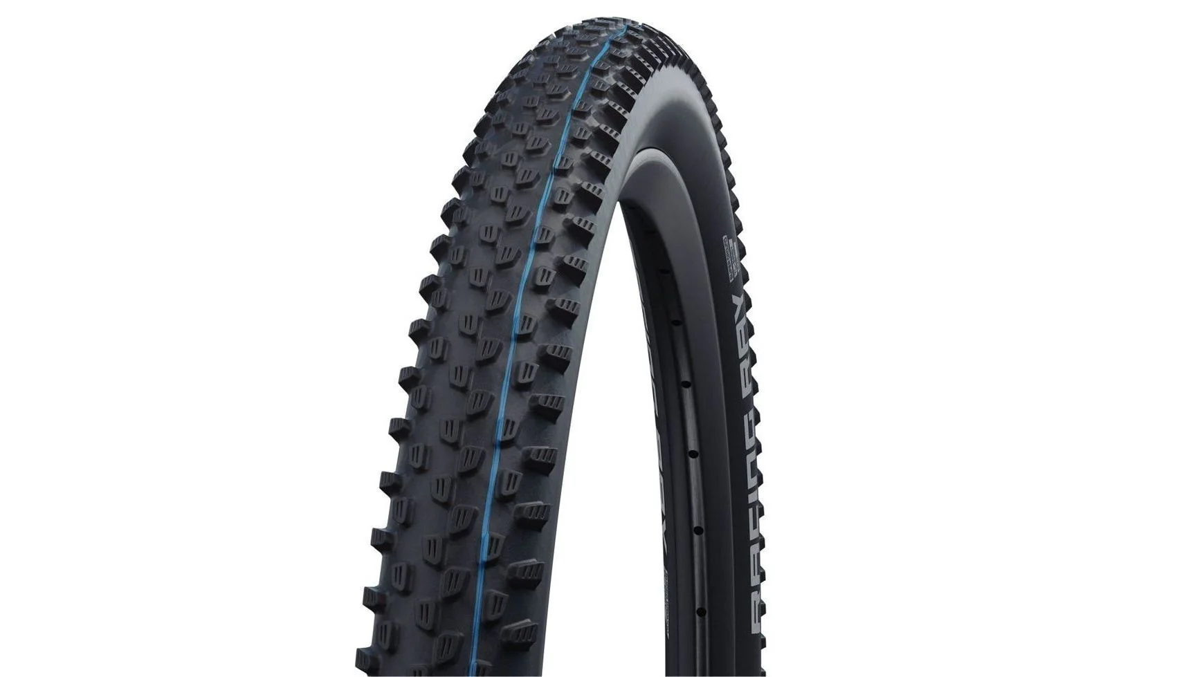 Schwalbe Racing Ray Evo SGR 29