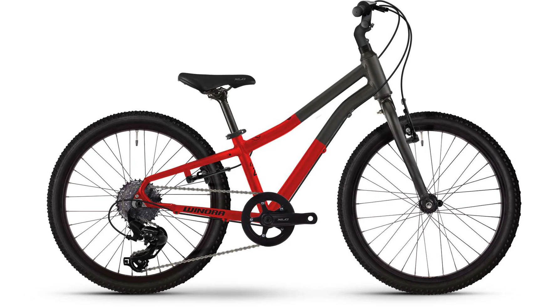 Winora Rage 20